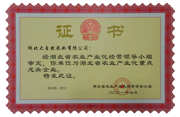 重點龍頭企業(yè)